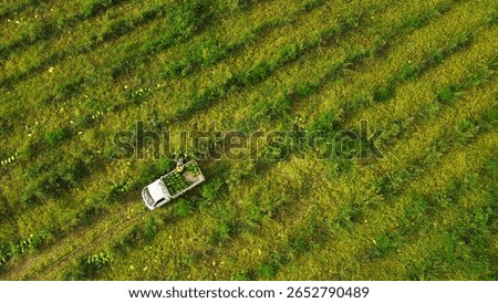 An overhead drone shot captures workers in a lush green field, appearing to load watermelons into the back of a white pickup truck