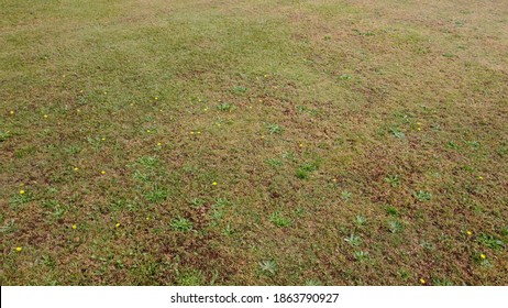 Overhead Drone Shot Of Wet Grass Field In The Deep South