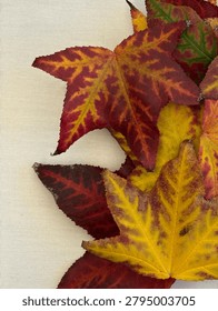 Overhead Flat Lay Composition Of Star Shaped Autumn Leaves On A Fabric Canvas Texture Leaving Copy Space To The Left