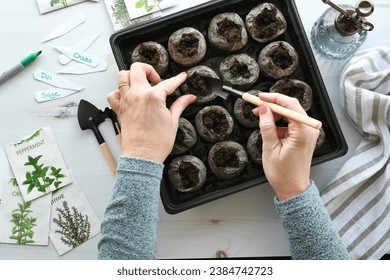 Overhead flat lay peat pellets herb vegetable seed packets - preparing peat soil for planting seeds - Powered by Shutterstock