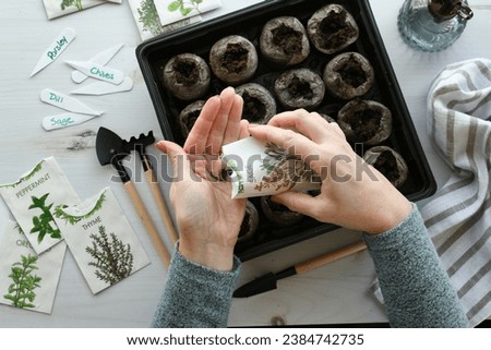 Overhead flat lay peat pellets herb vegetable seed packets - planting seeds to start plants indoors