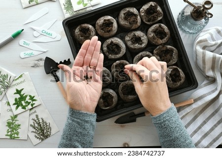 Overhead flat lay peat pellets herb vegetable seed packets - planting seeds to start plants indoors