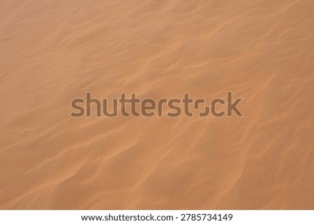 An overhead full frame background texture of fine golden sand ripples shaped by the wind on a dune in the Sahara Desert of Morocco