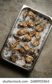 An overhead, full-frame shot of a rectangular metal catering tray filled with crushed ice and multiple fresh, unshucked oysters with rough, brown-green shells, set on a textured concrete background