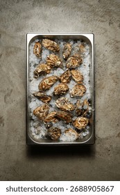 An overhead, full-frame shot of a rectangular metal catering tray filled with crushed ice and multiple fresh, unshucked oysters with rough, brown-green shells, set on a textured concrete background