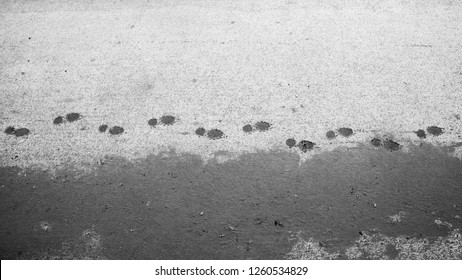 Overhead Image Of Footprints In Snow.