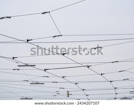 Overhead lines for the tramway
