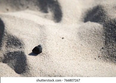 Overhead Macro Close Up On A Piece Of Black Wood Charcoal On Fine Beach Sand, On The California Coast