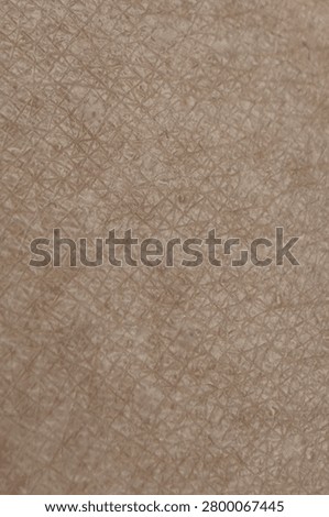 Overhead Macro View Of Light Beige Skin With Microscopic Epidermal Layer With Grid Like Pattern And Intersecting Lines Indoors