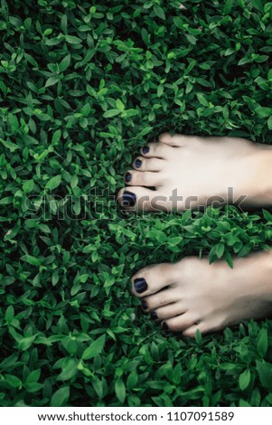 Overhead photo of feet on grass background. Close up of feets on the grass. Female feet on spring green knotweed.