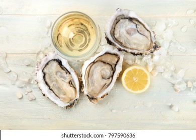 An overhead photo of freshly opened oysters on ice, with a glass of wine and a lemon slice, with a place for text