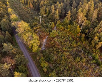 Overhead Power Line, Electrical Wiring, Surrounded By Trees During The Fall Time. Aerial View From Above, Bird's Eye View. Drone Photography Taken In Sweden In September.