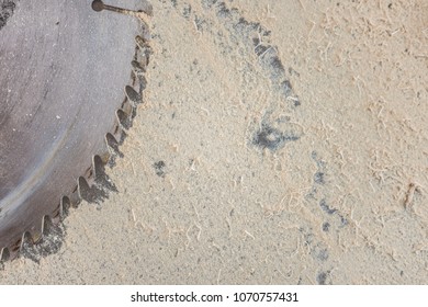 Overhead Of Shop Table; Sawdust, Saw Blade