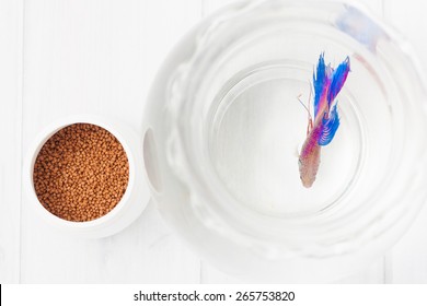 Overhead Shot Of Beta Fish Food And The Fish In A Glass Bowl On White Background