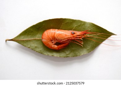 Overhead Shot Of A Cooked Shrimp On A Bay Leaf And White Background