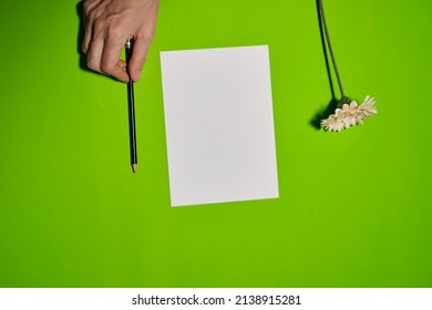 Overhead Shot Of Female Hands Writing With Pen Over Empty White Sheet Of Paper On Green Background