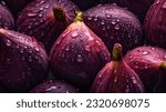 Overhead Shot of Figs with visible Water Drops. Close up.
