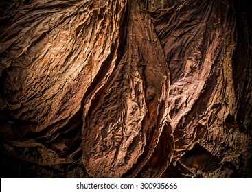 Overhead shot of finest tobacco as a background with a stream of light