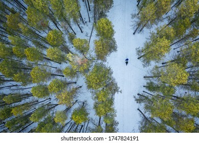 An overhead shot of a forest with tall green trees during winter