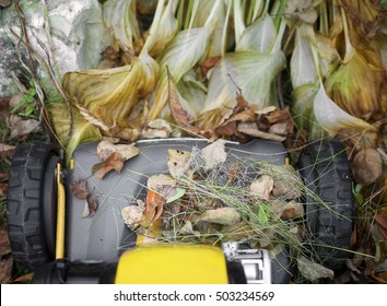 Overhead Shot Of A Lawn Mower Moving Forward On The Frozen Autumn Plants And Grass