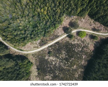 An Overhead Shot Of A Narrow Road In A Forest In A Puddletown Forest In Dorset, UK