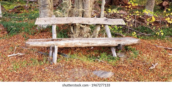 An Overhead Shot Of An Old Wooden Bench Outdoors With Dried And Some Green Grass