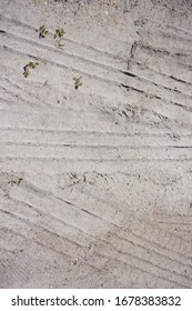 An Overhead Shot Of A Sandy Surface With Tire Marks And Small Stems