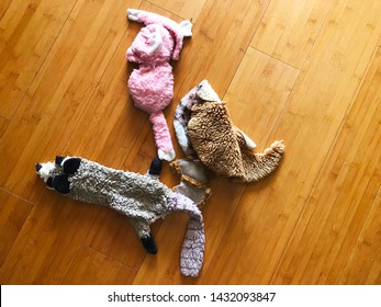 An Overhead Shot Of Some Dog Toys On The Floor.