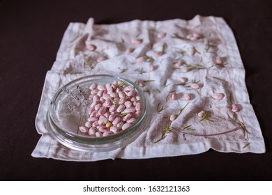 An Overhead Shot Of White Beans Placed In A Petri Dish With Scattered White Beans And Herbs On A White Cloth With A Blurred Background