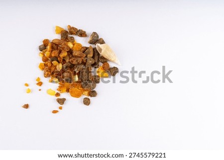 An overhead studio shot captures a scattered collection of raw, unpolished Baltic amber pieces, showcasing a diverse range of earthy hues from deep golden yellow to rustic brown and dark, opaque tones. The natural fossilized resin stones vary in size and irregular shape, many displaying their characteristic rugged texture. A delicate, light-colored conical seashell is nestled among the amber, adding a subtle coastal element. The bright, even lighting highlights the amber's natural brilliance and unique imperfections against a clean white background, emphasizing its organic allure.