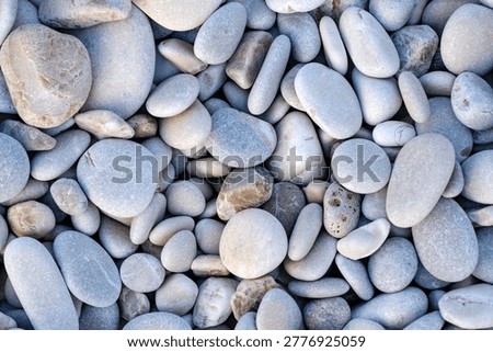 Overhead texture composition highlighting a chaotic but harmonious arrangement of dry white and grey stones covering the ground entirely.