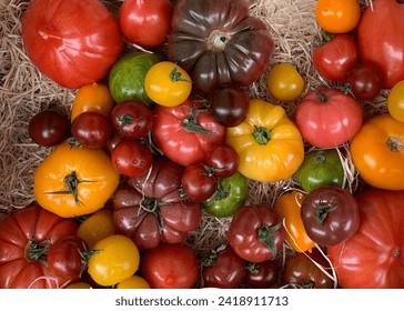 Overhead view of assorted heirloom tomatoes at a local market in Bastille, France - Powered by Shutterstock