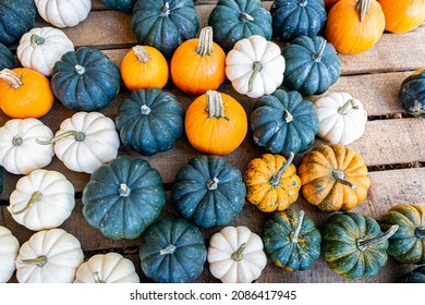 Overhead View Of Assorted Small Mini Pumpkins On A Wooden Pallet.