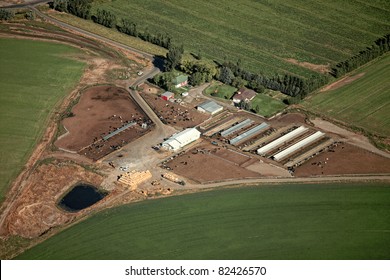 An Overhead View Of A Dairy Farm