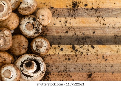 Overhead View Of Delicious Small Dirt Covered Fungus On Scratched Wood Cutting Board. Includes Copy Space.