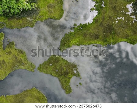 Overhead view of estuary water and marsh