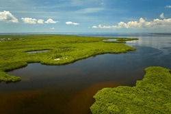 Overhead View Of Everglades Swamp With Green Vegetation Between Water Inlets. Natural Habitat Of Many Tropical Species In Florida Wetlands