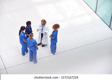 Overhead View Of Female Medical Staff Having Informal Meeting In Lobby Of Modern Hospital Building