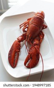 Overhead View Of A Full Lobster On A Plate