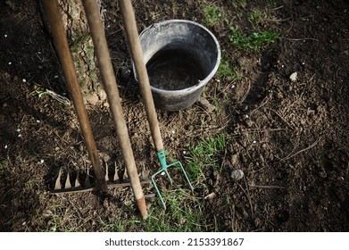 Overhead View Of Garden Tools And A Bucket For Weeding And Caring For The Garden During The Sowing Campaign. Agricultural Hobby, Horticulture And Gardening Concept. Copy Space For Ads