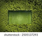 Overhead View of a Green Soccer Field Surrounded by Dense Trees