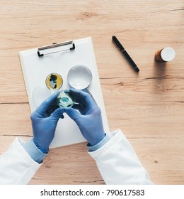 Overhead View Of Laboratory Technician Analyzing Growing Bacterial Cultures In Petri Dish, Science And Microbiology Background