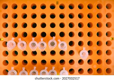 Overhead View Of Laboratory Tube Rack