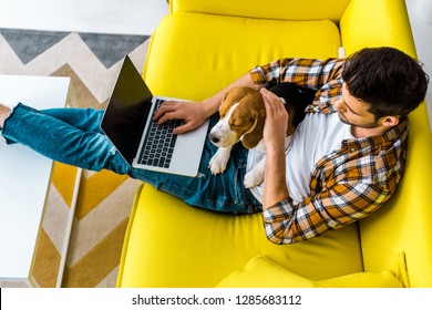 overhead view of man using laptop on sofa with cute dog - Powered by Shutterstock