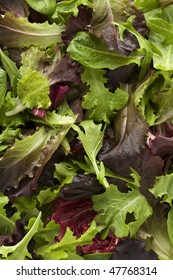 Overhead View Of Mixed Salad Leaves