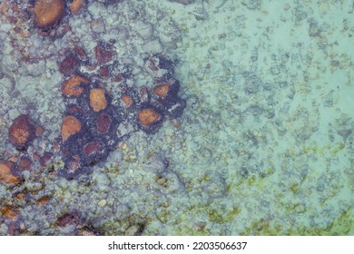 Overhead View Of Multiple Brown Pebbles And Green Calm Water. Lake, Sea And Nature Concept.