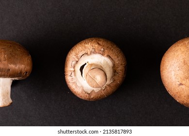 Overhead View Of Mushrooms Arranged On Black Background, Copy Space. Unaltered, Food, Studio Shot, Healthy Eating.