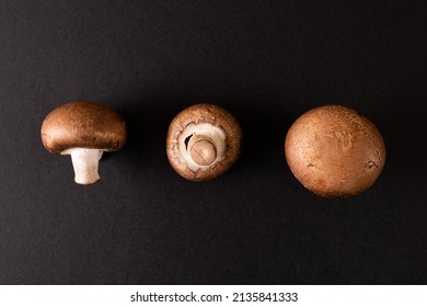 Overhead View Of Mushrooms Arranged Side By Side On Black Background, Copy Space. Unaltered, Food, Studio Shot, Healthy Eating.