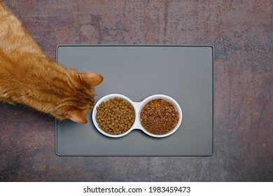 Overhead View Of A Red Cat Sniffs At Wet And Dry Pet Food From The Ceramic Food Bowl.