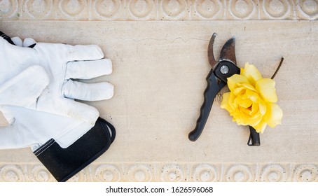 Overhead View Of Stone Bench With White Garden Gloves, Clippers And A Yellow Rose